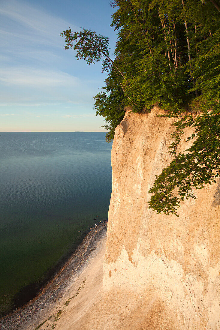 Kreidefelsen, Nationalpark Jasmund, Insel Rügen, Ostsee, Mecklenburg-Vorpommern, Deutschland