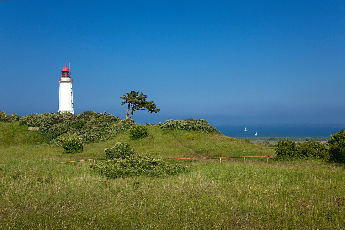 Leuchtturm auf dem Dornbusch, Insel Hiddensee, Nationalpark Vorpommersche Boddenlandschaft, Ostsee, Mecklenburg-Vorpommern, Deutschland