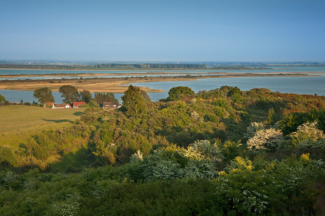 Hawthorn, view from Dornbusch over the Bodden to Ruegen island, Hiddensee island, Baltic Sea, Mecklenburg Western-Pomerania, Germany