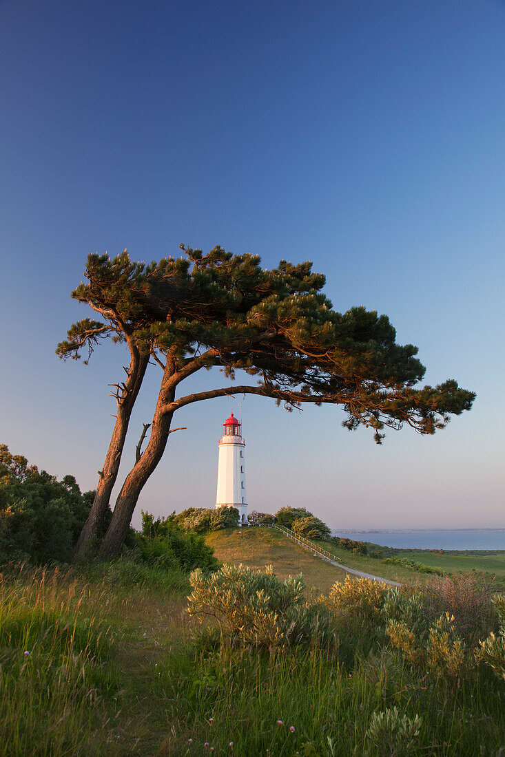 Lighthouse at Dornbusch, Hiddensee island, National Park Vorpommersche Boddenlandschaft, Baltic Sea, Mecklenburg Western-Pomerania, Germany