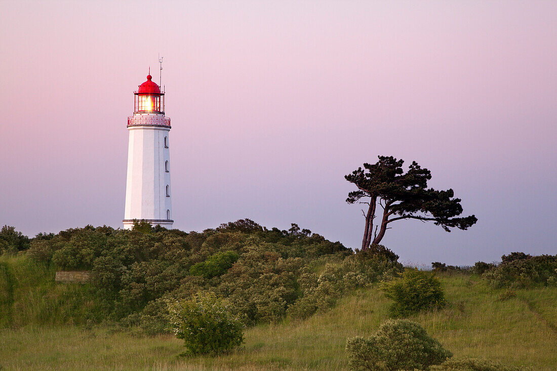 Leuchtturm auf dem Dornbusch, Insel Hiddensee, Nationalpark Vorpommersche Boddenlandschaft, Ostsee, Mecklenburg-Vorpommern, Deutschland