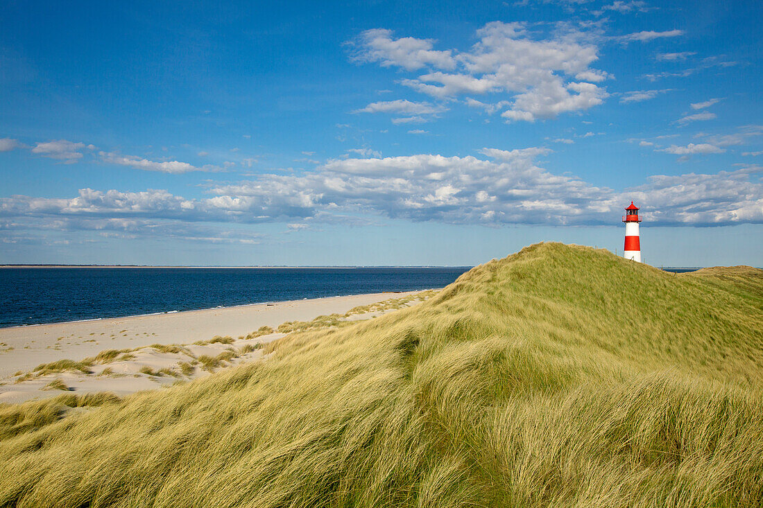List Ost lighthouse, Ellenbogen peninsula, Sylt island, North Sea, North Friesland, Schleswig-Holstein, Germany