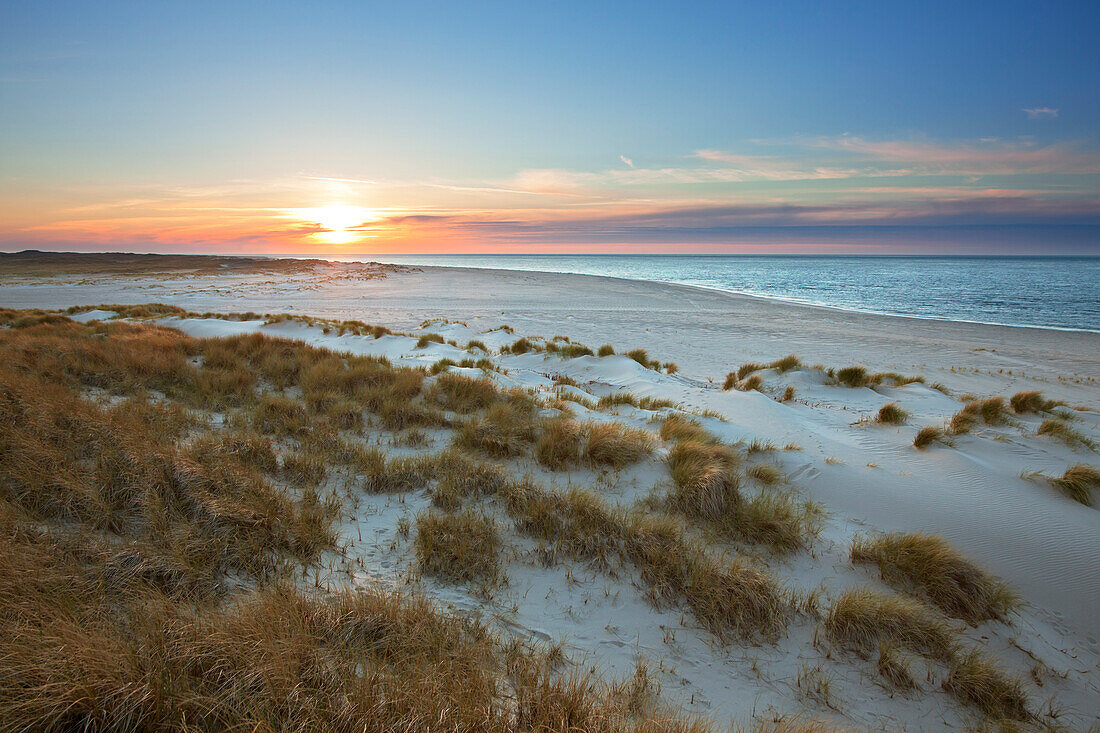 Sonnenuntergang am Strand, Halbinsel Ellenbogen, Insel Sylt, Nordsee, Nordfriesland, Schleswig-Holstein, Deutschland