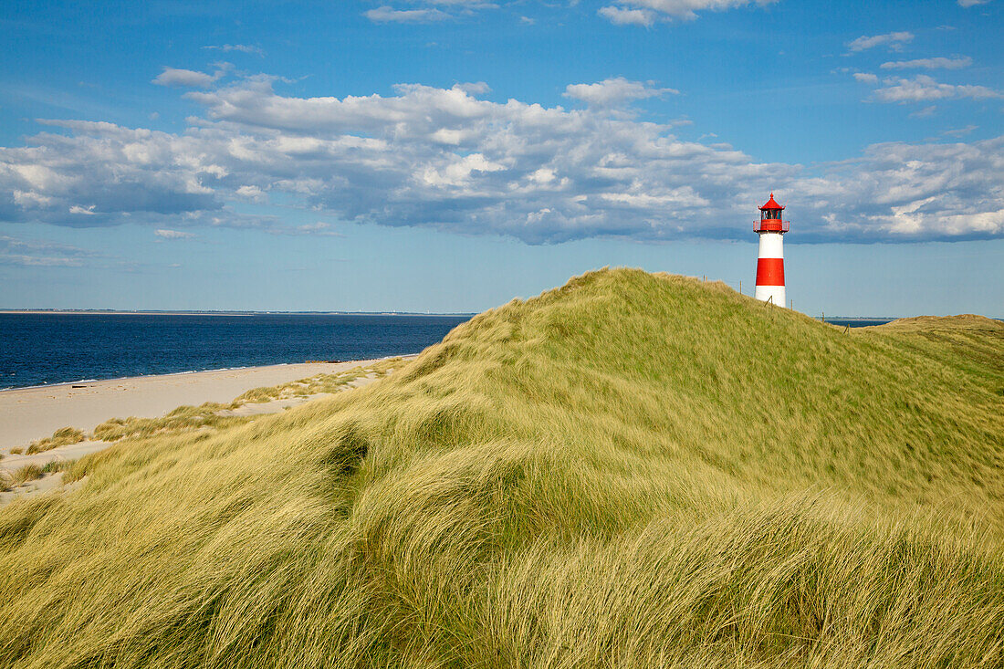 List Ost lighthouse, Ellenbogen peninsula, Sylt island, North Sea, North Friesland, Schleswig-Holstein, Germany