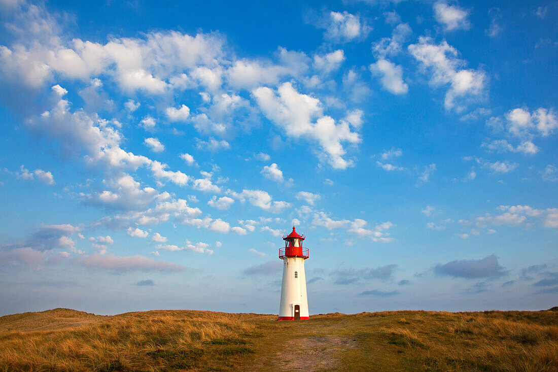 Leuchtturm List West, Halbinsel Ellenbogen, Insel Sylt, Nordsee, Nordfriesland, Schleswig-Holstein, Deutschland