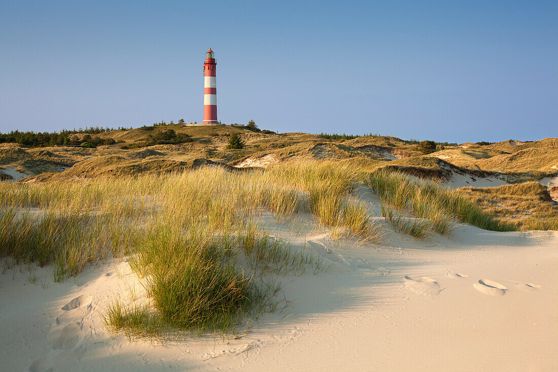 Lighthouse in the dunes at Kniepsand, Amrum island, North Sea, North Friesland, Schleswig-Holstein, Germany