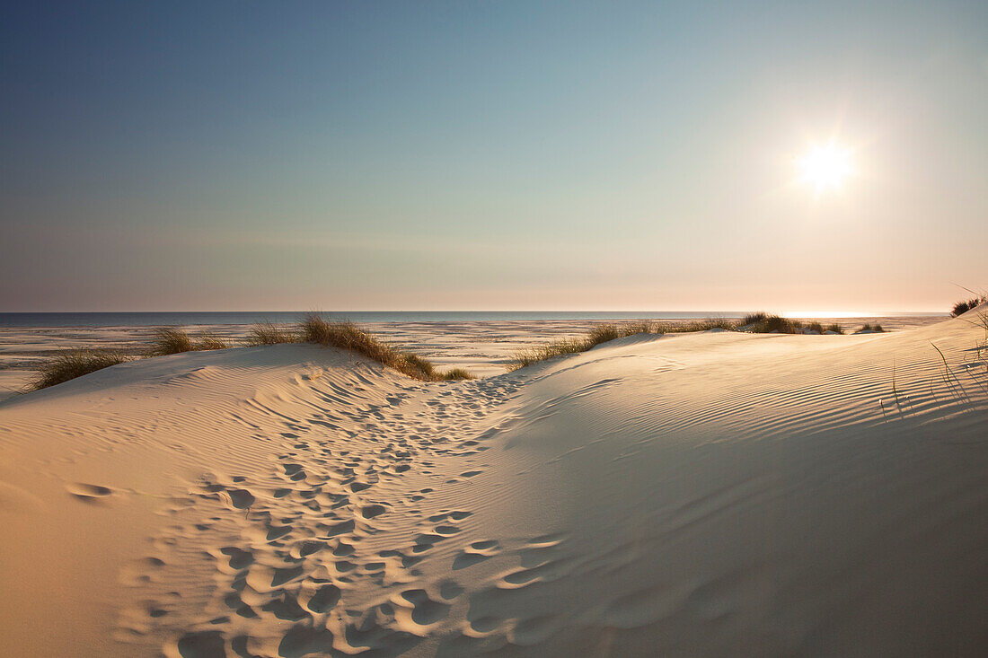 Dünen am Strand, Kniepsand, Insel Amrum, Nordsee, Nordfriesland, Schleswig-Holstein, Deutschland