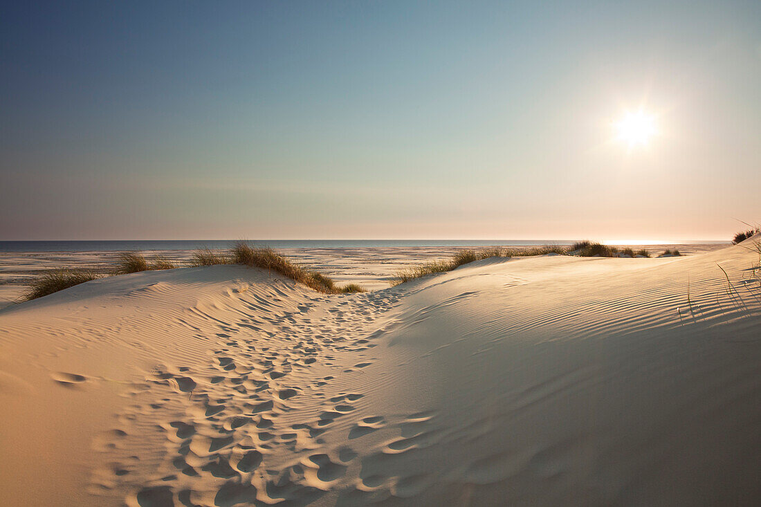 Dunes at Kniepsand, Amrum island, North Sea, North Friesland, Schleswig-Holstein, Germany