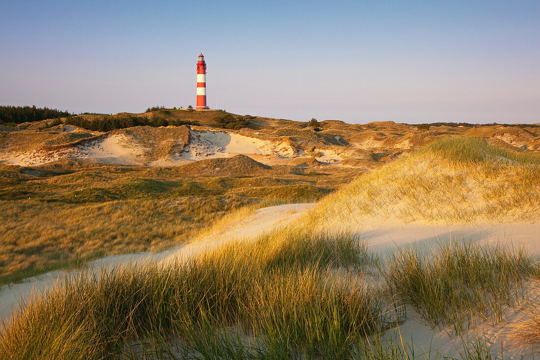 Lighthouse in the dunes at Kniepsand, Amrum island, North Sea, North Friesland, Schleswig-Holstein, Germany