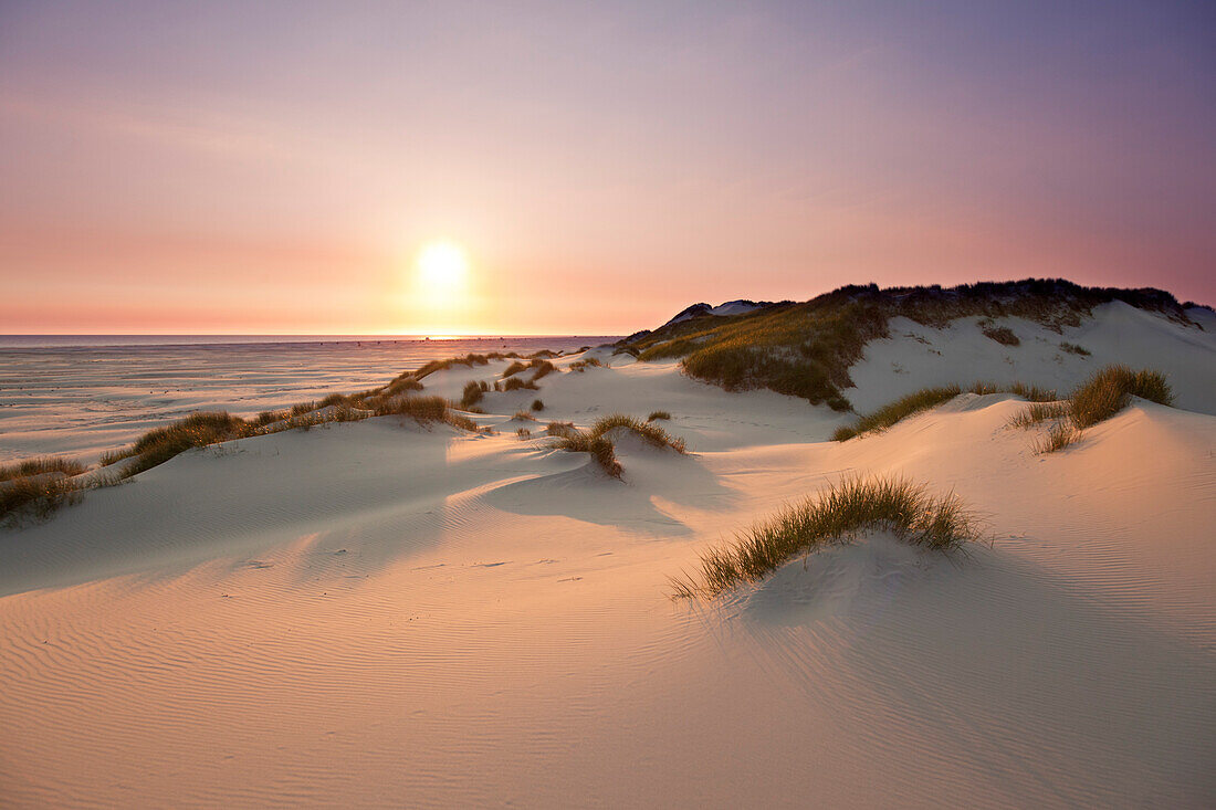 Dunes on the beach, Kniepsand, Amrum island, North Sea, North Friesland, Schleswig-Holstein, Germany