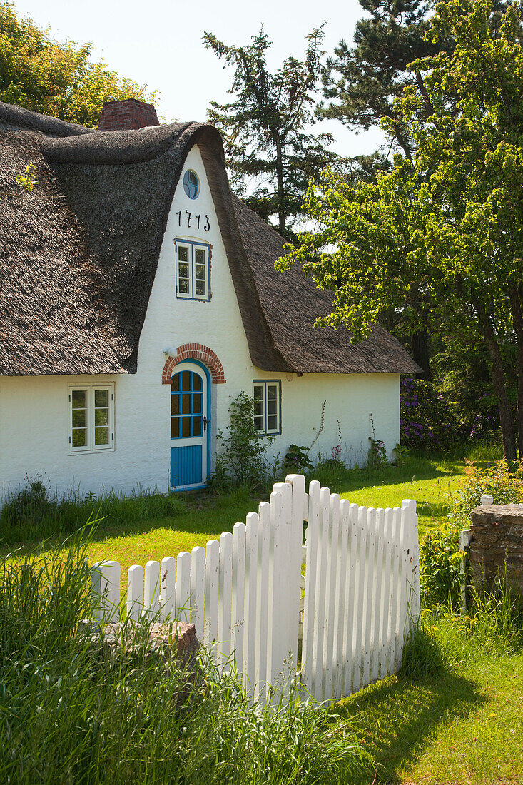 Frisian house with thatched roof, Sueddorf, Amrum island, North Sea, North Friesland, Schleswig-Holstein, Germany