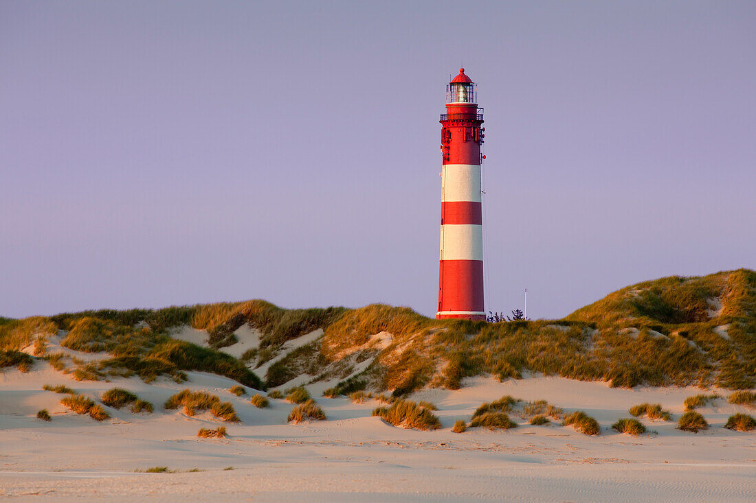 Leuchtturm in den Dünen am Kniepsand, Insel Amrum, Nordsee, Nordfriesland, Schleswig-Holstein, Deutschland