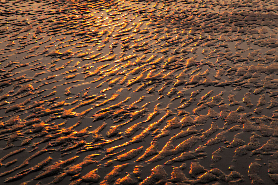 Wave structure in the sand at Kniepsand, Amrum island, North Sea, North Friesland, Schleswig-Holstein, Germany