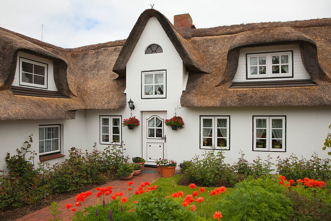 Mohnblumen vor reetgedecktem Friesenhaus, Nebel, Insel Amrum, Nordsee, Nordfriesland, Schleswig-Holstein, Deutschland