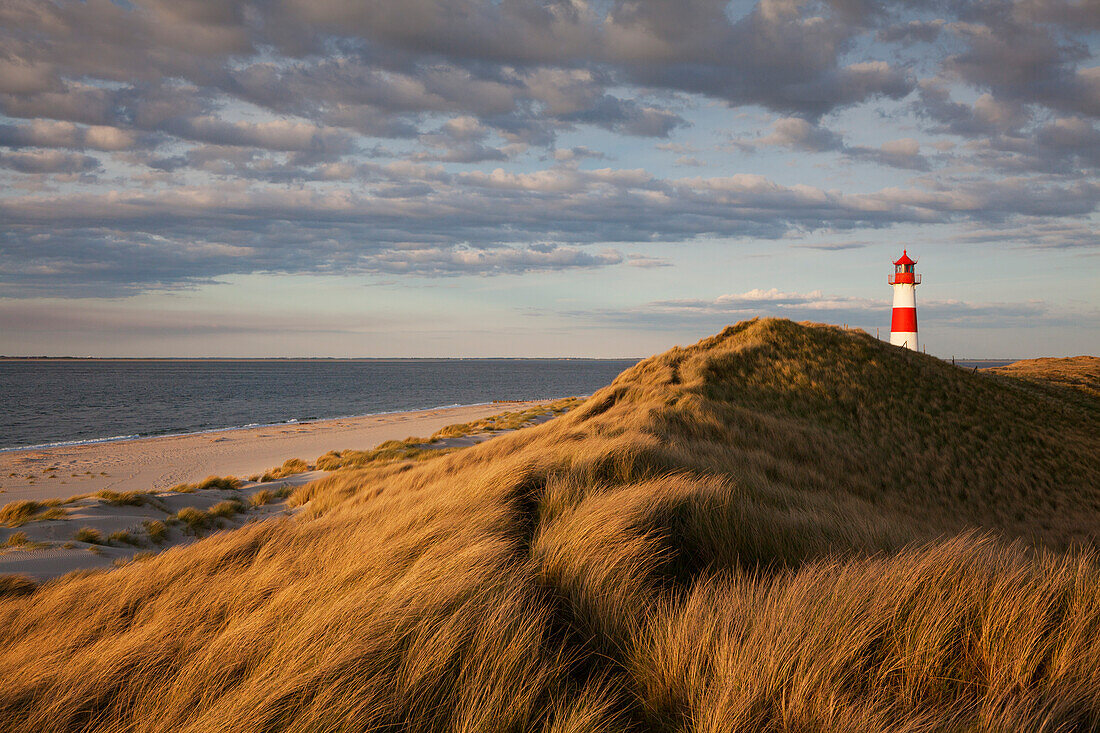 List Ost lighthouse, Ellenbogen peninsula, Sylt island, North Sea, North Friesland, Schleswig-Holstein, Germany