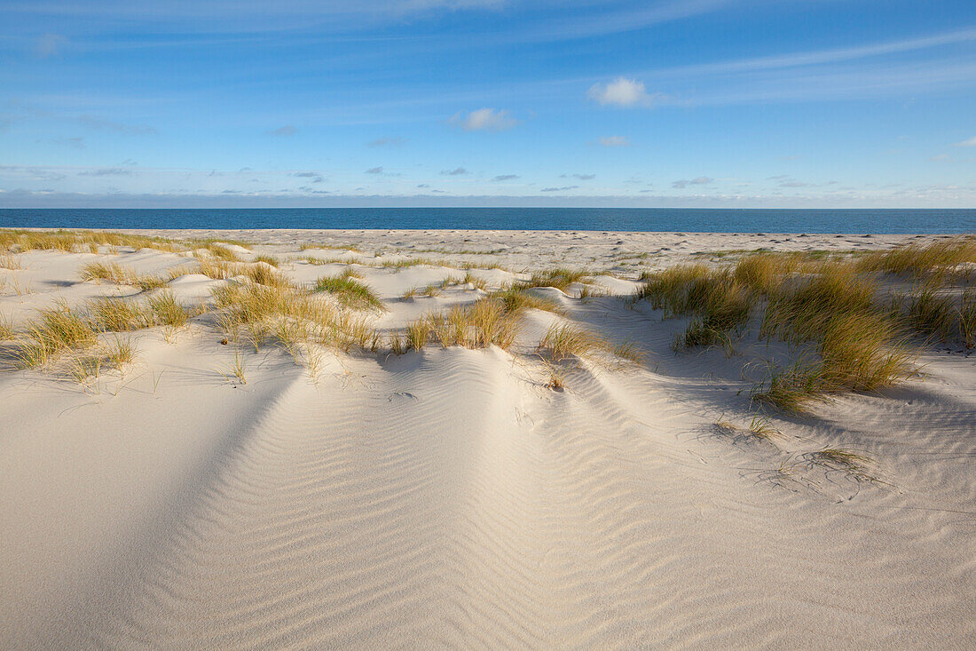 Dunes on the beach, Ellenbogen peninsula, Sylt island, North Sea, North Friesland, Schleswig-Holstein, Germany