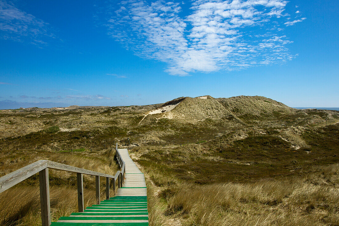Path through the dunes, near Kampen, Sylt island, North Sea, North Friesland, Schleswig-Holstein, Germany