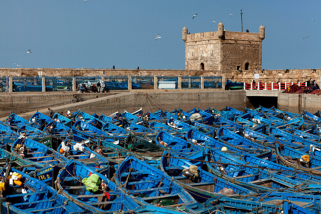 Fischerboote im Hafen in der Nähe von der portugiesischen Zitadelle, Essaouira, Marokko