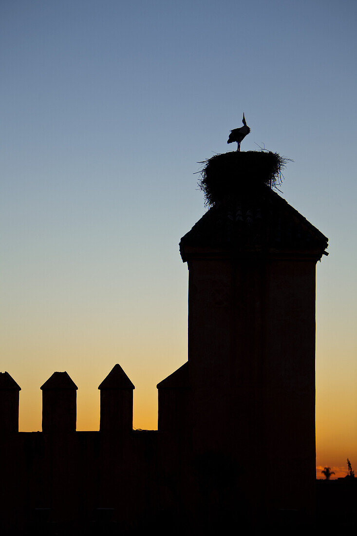 Storch auf der Mauer des Königlichen Palasts, Marrakesch, Marokko