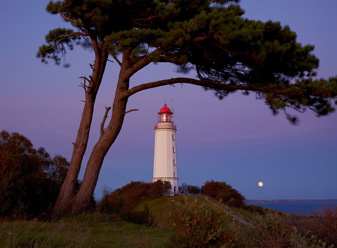 Leuchtturm bei Mondaufgang, Insel Hiddensee, Ostseeküste, Mecklenburg-Vorpommern, Deutschland
