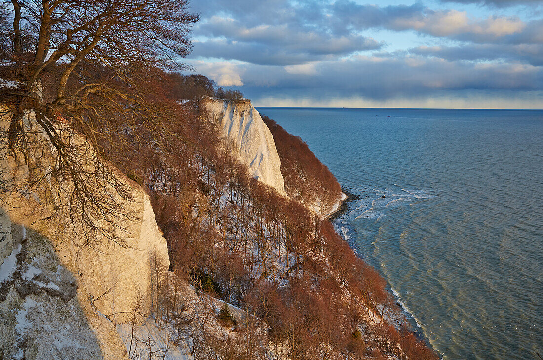 Koenigstuhl, Grosse Stubbenkammer, chalk cliffs, Jasmund National Park, Island of Ruegen, Baltic Sea Coast, Mecklenburg Western Pommerania, Germany