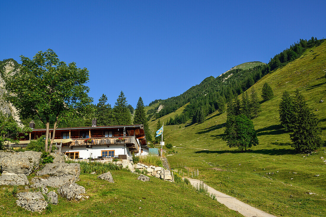 Weg führt an einer Alm vorbei, Geigelstein, Chiemgauer Alpen, Chiemgau, Oberbayern, Bayern, Deutschland