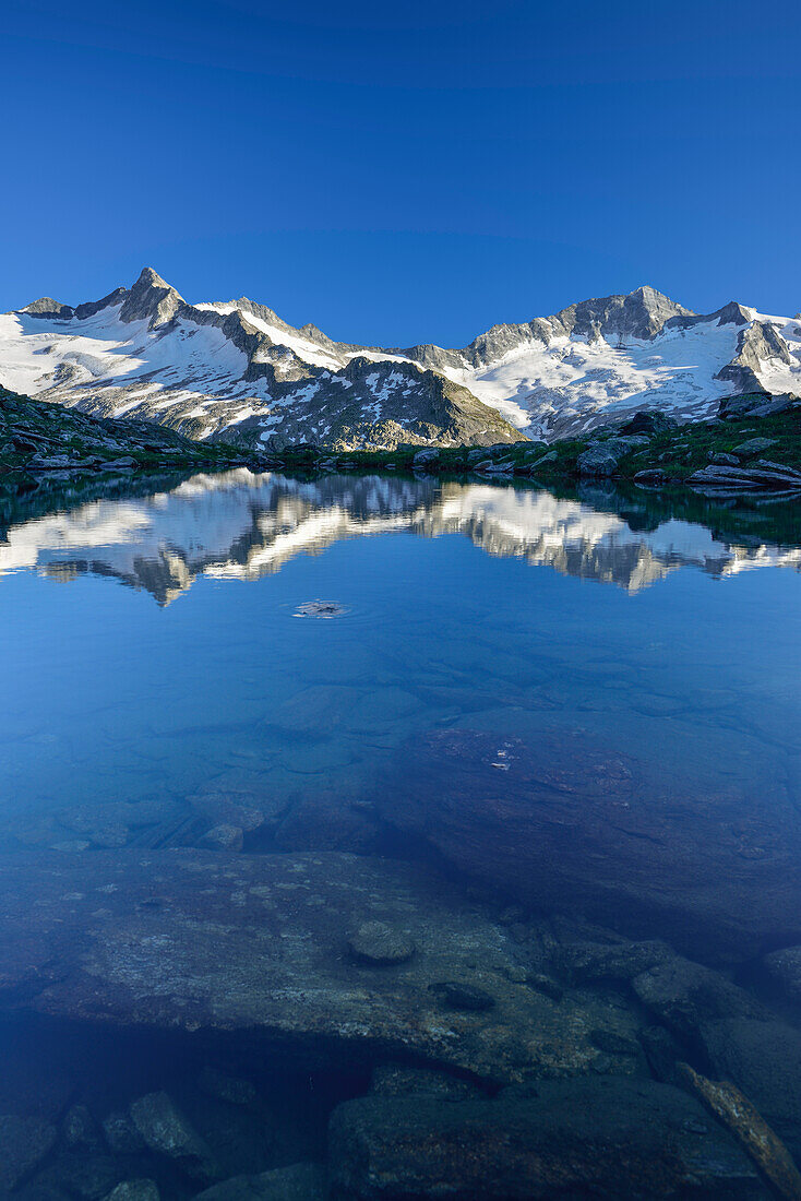 Blick über Schwarzsee auf Dritte Hornspitze und Turnerkamp, Zillertaler Alpen, Zillertal, Tirol, Österreich