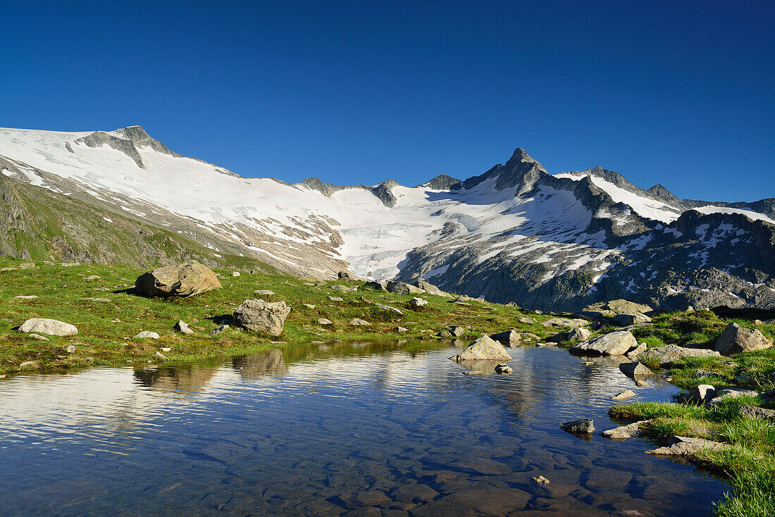 Bergsee vor Schwarzenstein und Dritte Hornspitze, Zillertaler Alpen, Zillertal, Tirol, Österreich