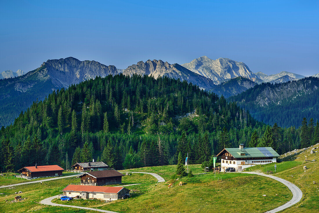 Alpine hut Schoenfeldalm in front of Schinder and Guffert, Bavarian Alps, Upper Bavaria, Bavaria, Germany