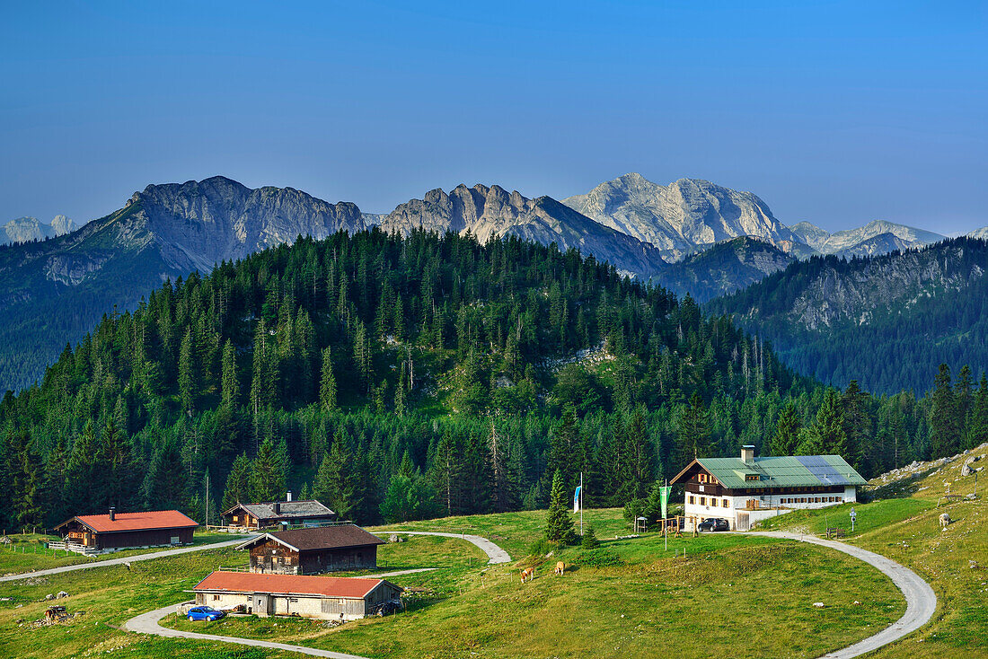 Schönfeldalm vor Schinder und Guffert, Bayerische Alpen, Oberbayern, Bayern, Deutschland