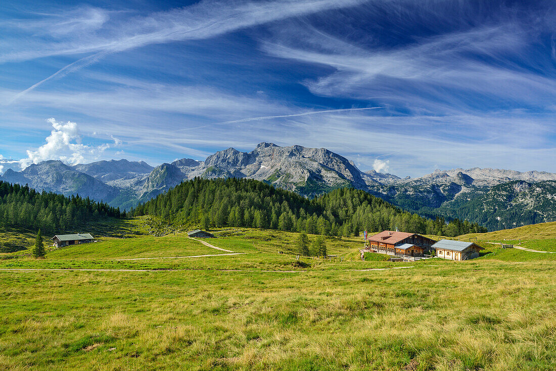 View over Gotzenalm with alpine huts to Steineres Meer, Berchtesgaden National Park, Berchtesgaden Alps, Upper Bavaria, Bavaria, Germany
