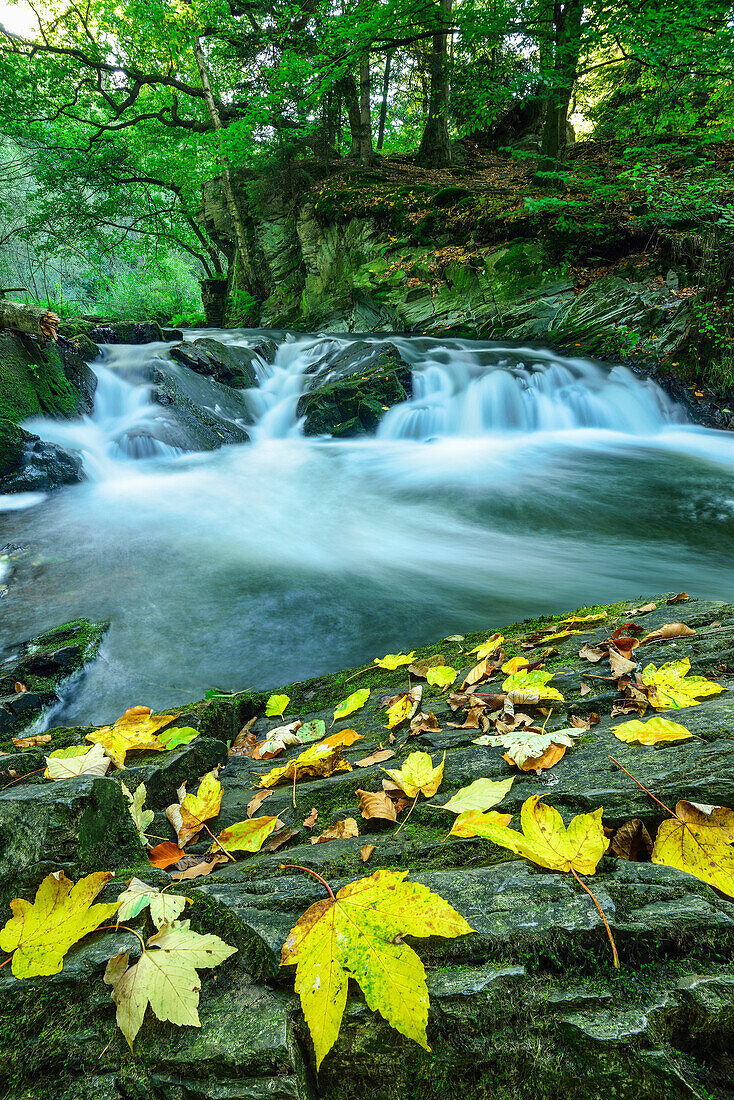 Selkefall, Selketal, Harz, Sachsen-Anhalt, Deutschland