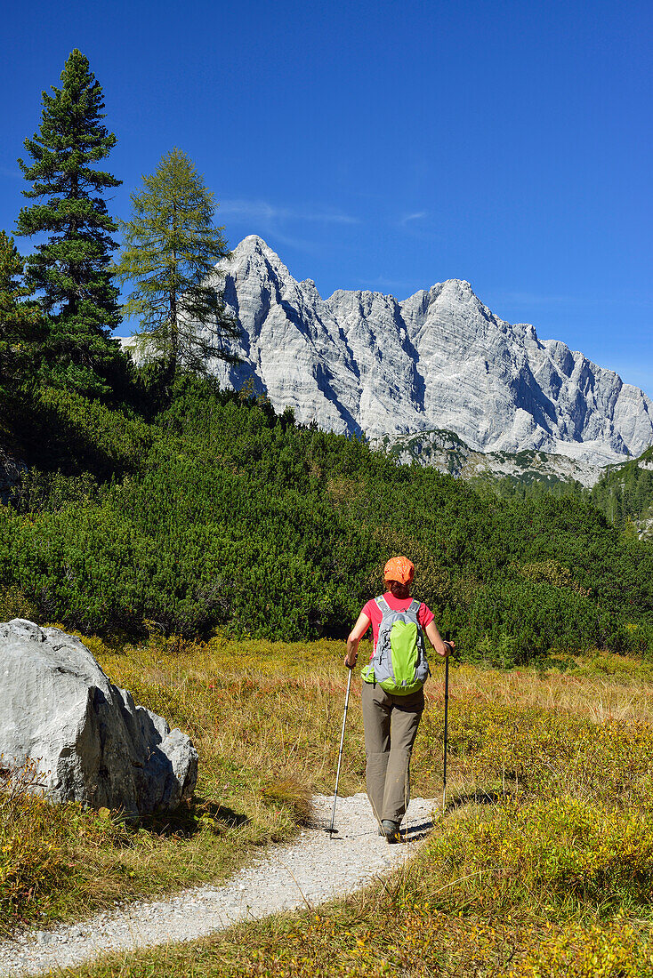 Woman hiking, Watzmann massif in background, Berchtesgaden National Park, Berchtesgaden Alps, Upper Bavaria, Bavaria, Germany