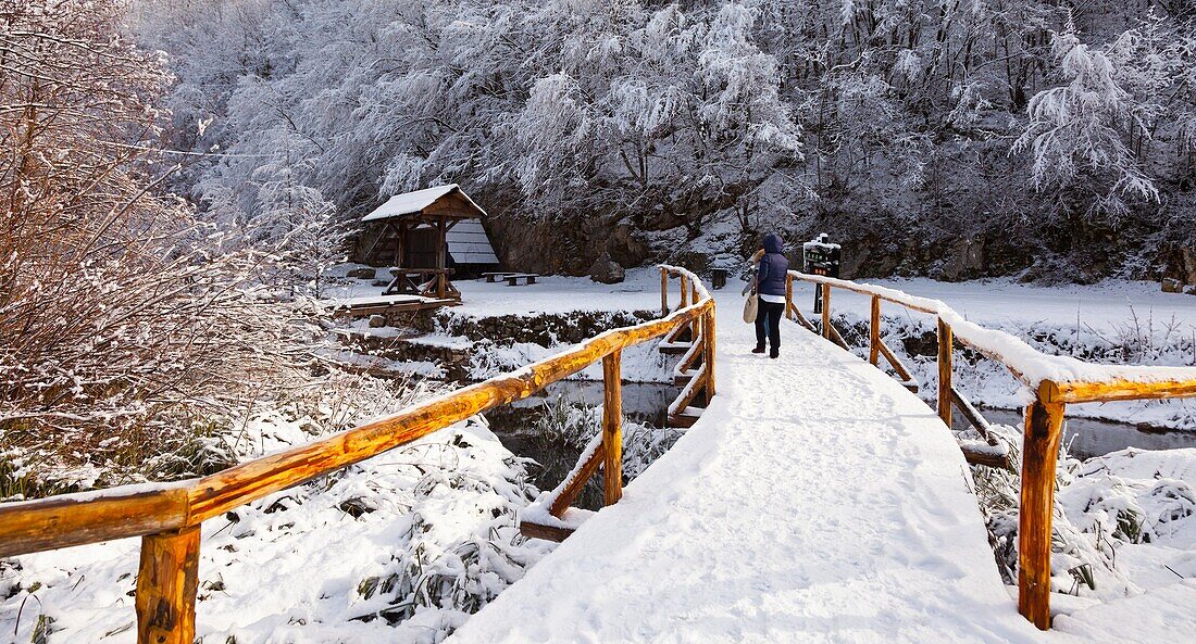 Plitvice lakes National Park, Lika region, Croacia, Europe.