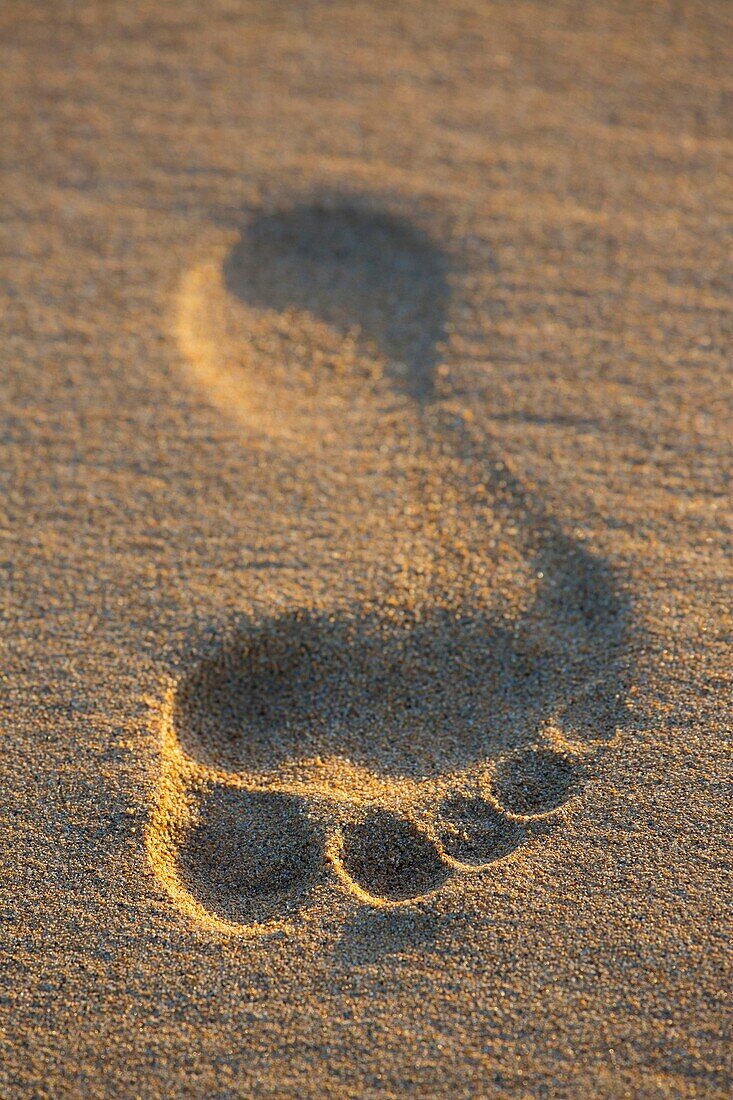 Fußabdrücke im Sand bei Sonnenuntergang