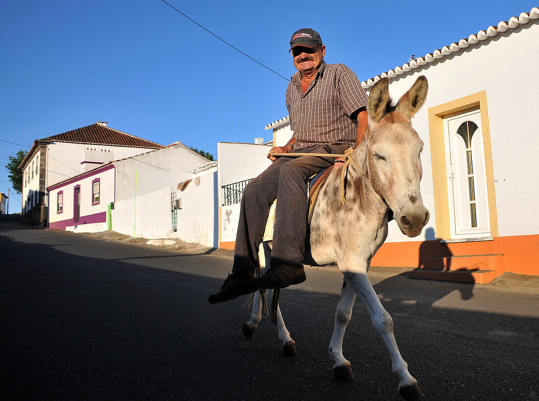 Bauer reitet auf einem Esel in Cabo da Praia bei Praia da Vitoria, Insel Terceira, Azoren, Portugal