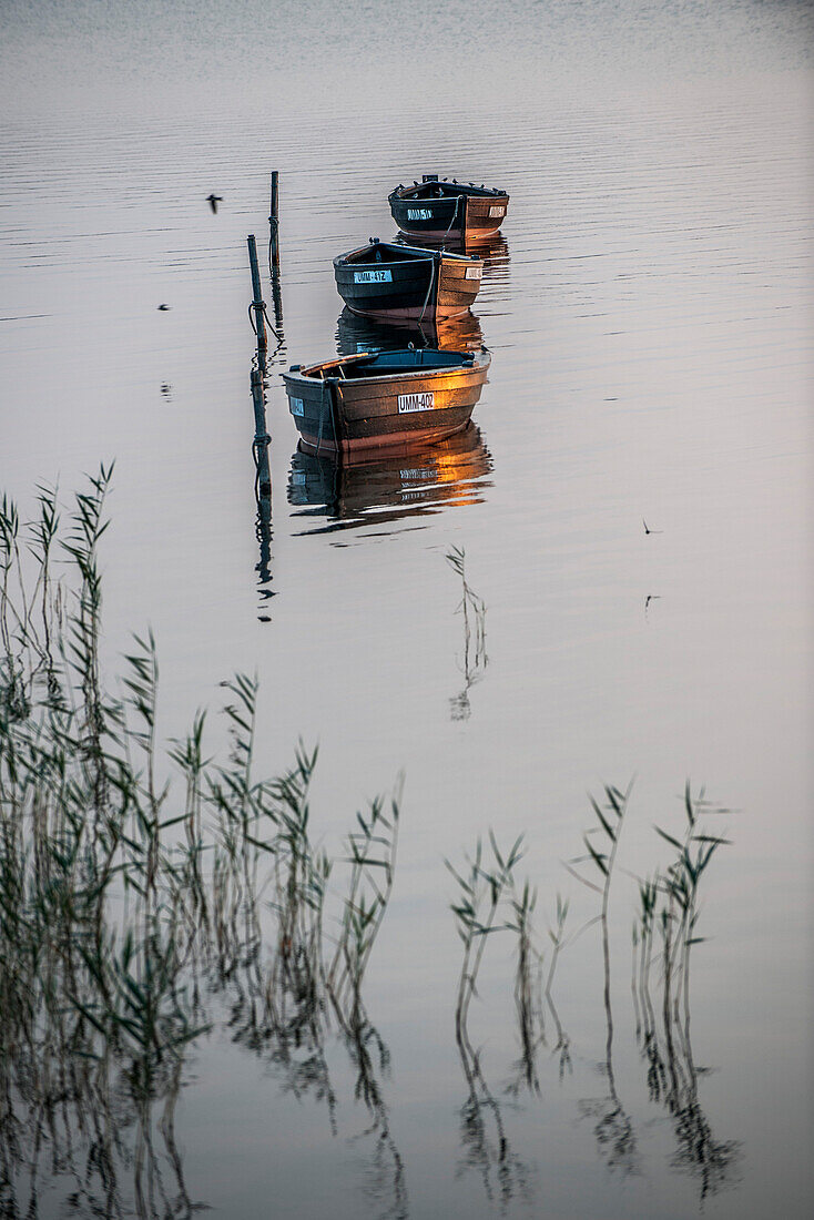 Sunset and fishing boats on the island of Ummanz, island of Ruegen, Mecklenburg-Western Pomerania, Germany