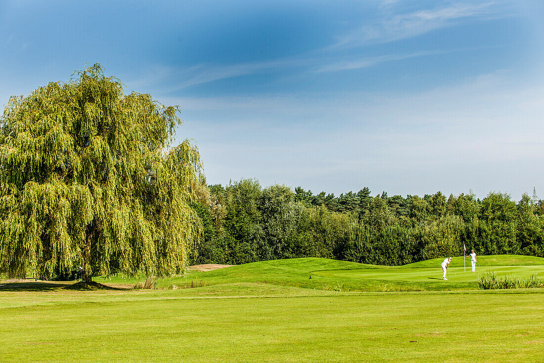 2 Golferinnen beim Putten, Golfclub Green Eagle, Radbruch, Winsen Luhe, Niedersachsen, Norddeutschland, Deutschland