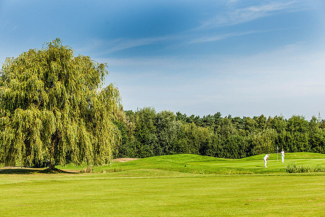 2 women golfers on the putting green, golf course Green Eagle, Radbruch, Winsen Luhe, Niedersachsen, North Germany, Germany