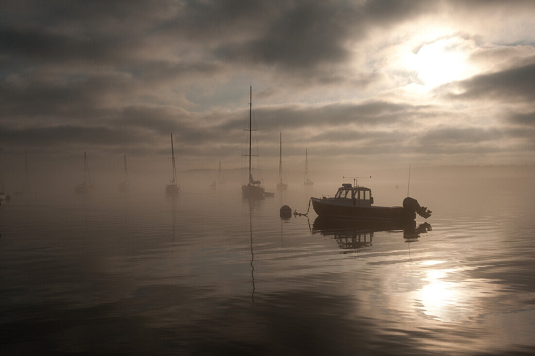 Boats in Misty Harbor at Sunrise, Castine, Maine, USA