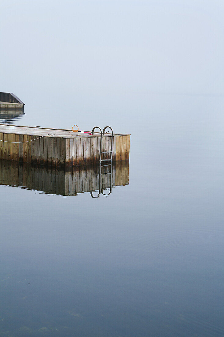 Dock With Swimming Ladder on Foggy Day