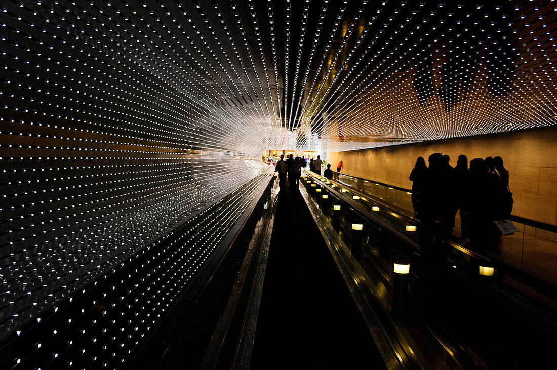 Group of People on Conveyors in Illuminated Tunnel