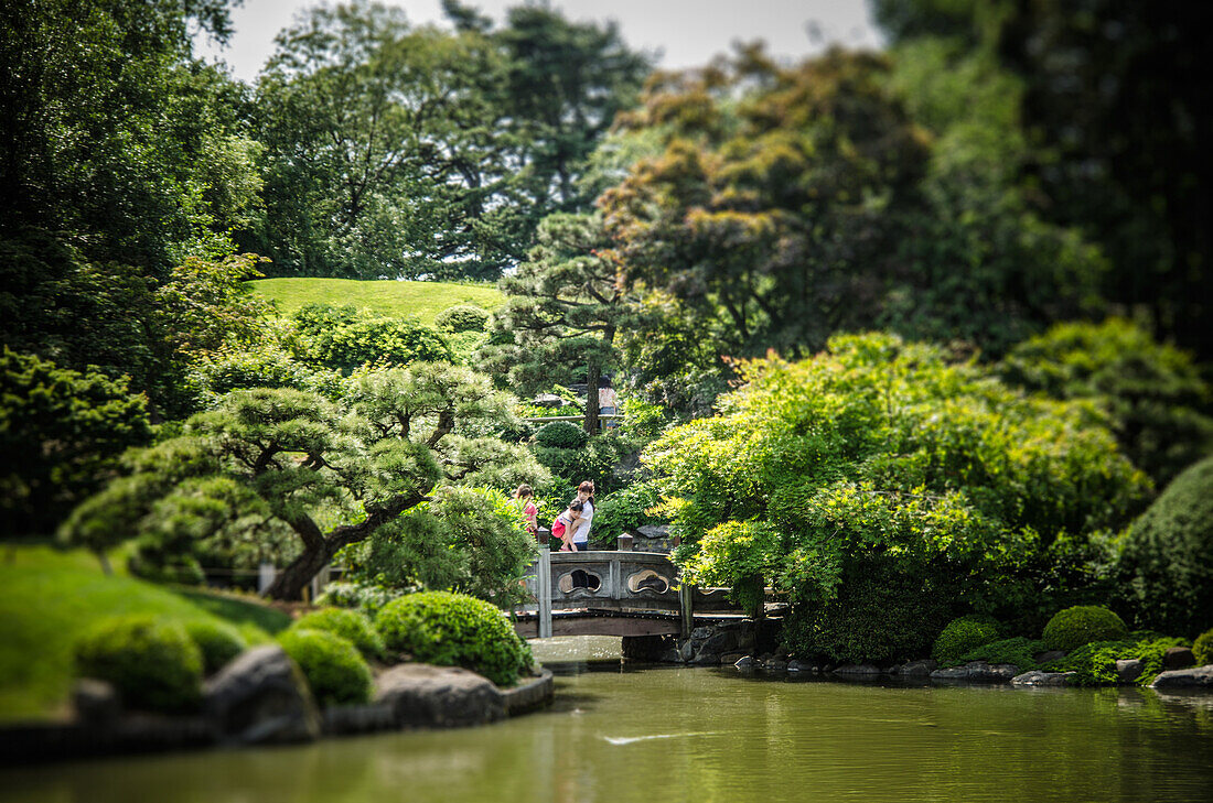 Japanese Hill-and-Pond Garden, Brooklyn Botanic Garden, Brooklyn, New York City, USA