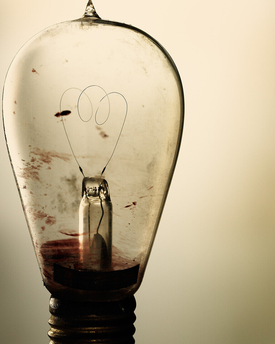 Light Bulb, Close-Up