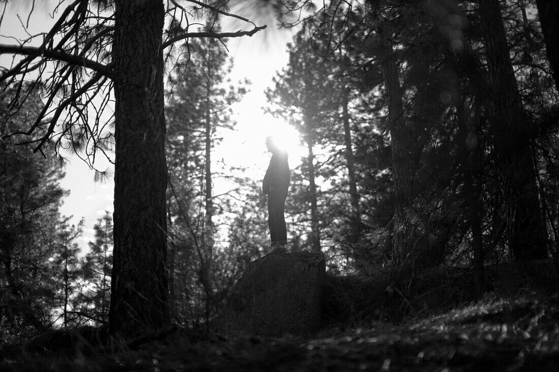 Man Standing on Rock in Wilderness, Silhouette