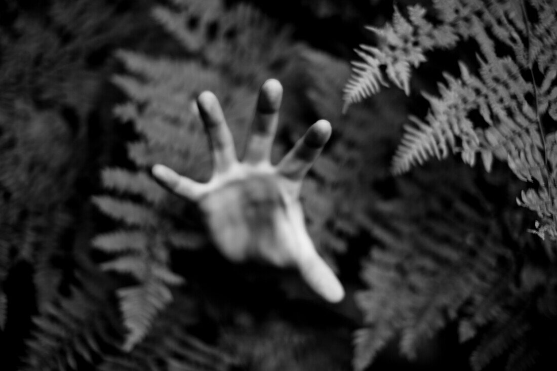 Hand Reaching Through Ferns