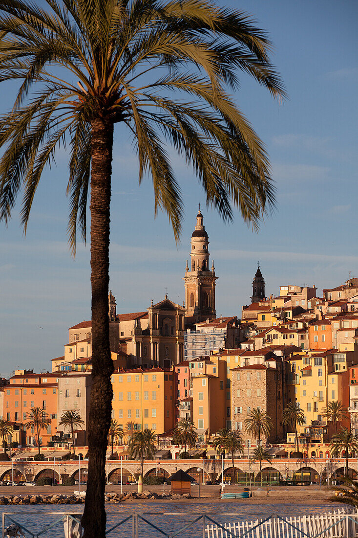 Colourful Houses Of The Old Town And Palm Trees In Front Of The Sablettes Beach, Saint-Michel Archange Basilica, Menton, Alpes-Maritimes (06), France