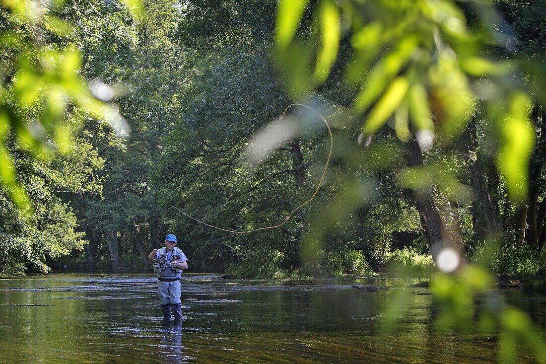 Fly Fisherman On The Avre River, Valley Of The Avre, Musy, Eure-Et-Loir (28), France