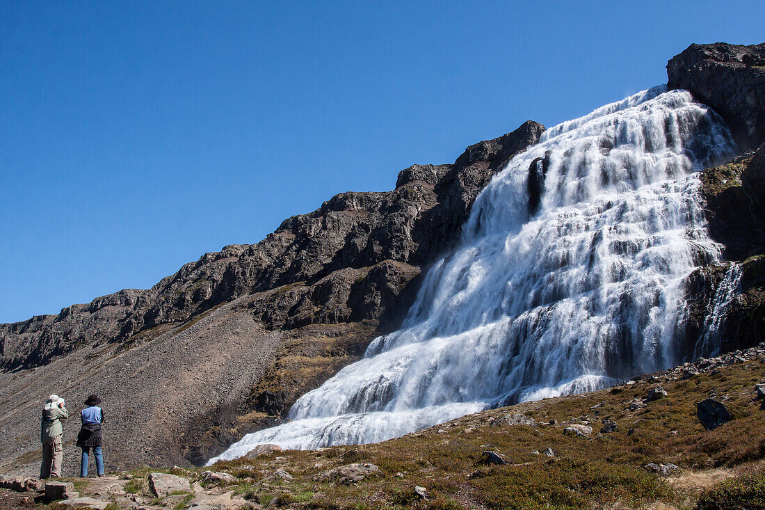 Couple Of American Tourists From San Diego Looking At The Waterfall Of Dynjandi Or Fjallfoss, Region Of The Western Fjords, Vestfjords, Iceland