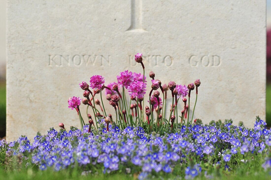 Commonwealth Cemetery For British Soldiers Killed During The First World War, Somme (80), France